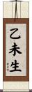 乙未生 Scroll