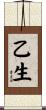 乙生 Scroll