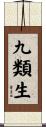 九類生 Scroll