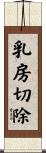 乳房切除 Scroll
