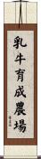 乳牛育成農場 Scroll