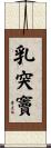 乳突竇 Scroll