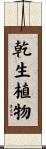 乾生植物 Scroll