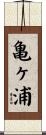 亀ヶ浦 Scroll