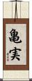 亀実 Scroll