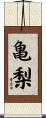 亀梨 Scroll