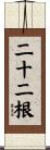 二十二根 Scroll