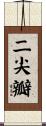 二尖瓣 Scroll