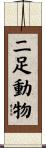 二足動物 Scroll