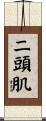 二頭肌 Scroll