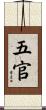 五官 Scroll
