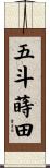 五斗蒔田 Scroll