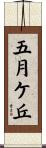 五月ケ丘 Scroll