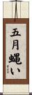 五月蝿い Scroll