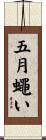 五月蠅い Scroll