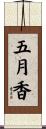 五月香 Scroll