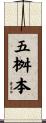 五桝本 Scroll