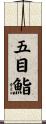 五目鮨 Scroll