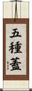 五種蓋 Scroll
