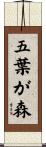五葉が森 Scroll