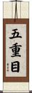 五重目 Scroll