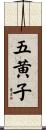 五黄子 Scroll