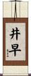 井早 Scroll