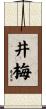 井梅 Scroll