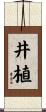井植 Scroll