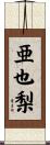 亜也梨 Scroll