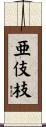亜伎枝 Scroll