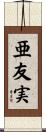 亜友実 Scroll