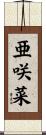 亜咲菜 Scroll