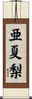 亜夏梨 Scroll