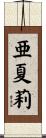 亜夏莉 Scroll