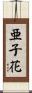 亜子花 Scroll