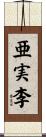 亜実李 Scroll