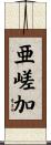 亜嵯加 Scroll