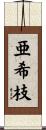 亜希枝 Scroll