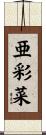亜彩菜 Scroll