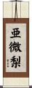 亜微梨 Scroll