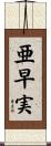 亜早実 Scroll