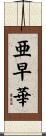 亜早華 Scroll