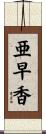 亜早香 Scroll