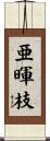 亜暉枝 Scroll