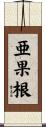 亜果根 Scroll
