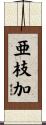 亜枝加 Scroll