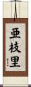 亜枝里 Scroll