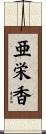 亜栄香 Scroll