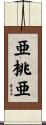亜桃亜 Scroll